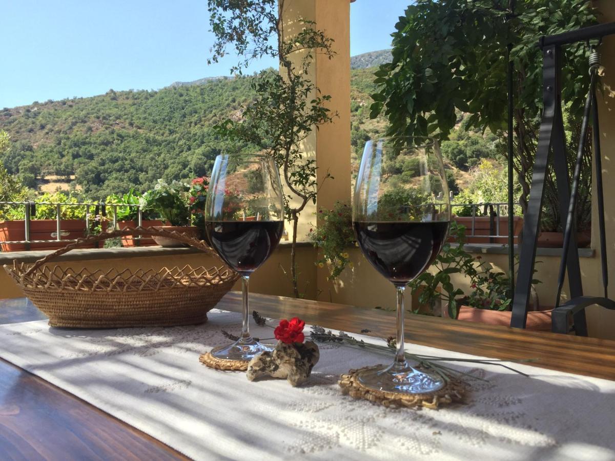 B&B Su Biancu - Sardinian Experience Urzulei Dış mekan fotoğraf