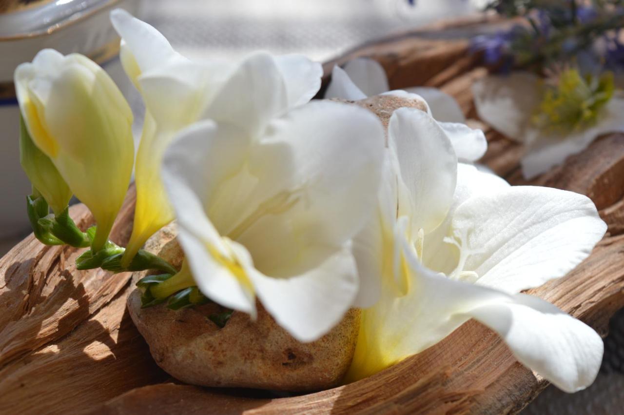 B&B Su Biancu - Sardinian Experience Urzulei Dış mekan fotoğraf